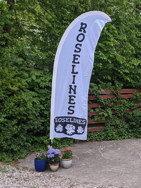 Roselines banner